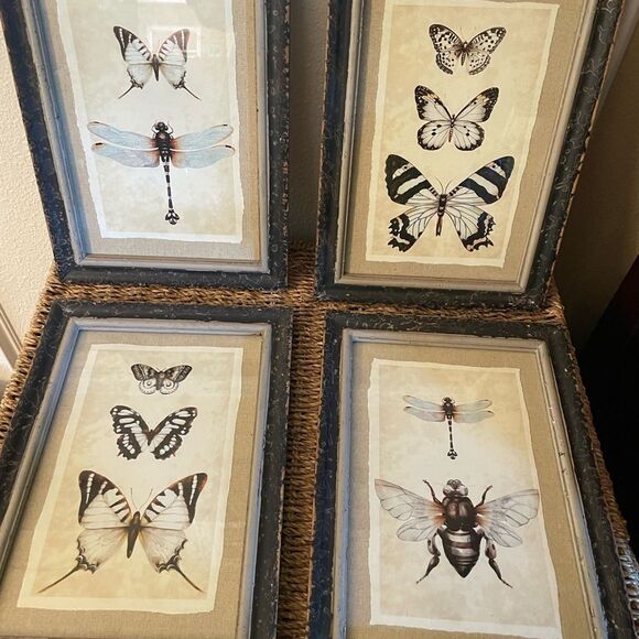 Creative Co-Op Distressed Antique Look Set of 4 Butterfly-Insect Framed Art - Picture 11 of 15